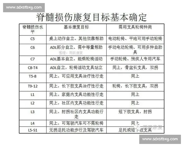 美国对阵特多最新战况解析与未来走势全面评估